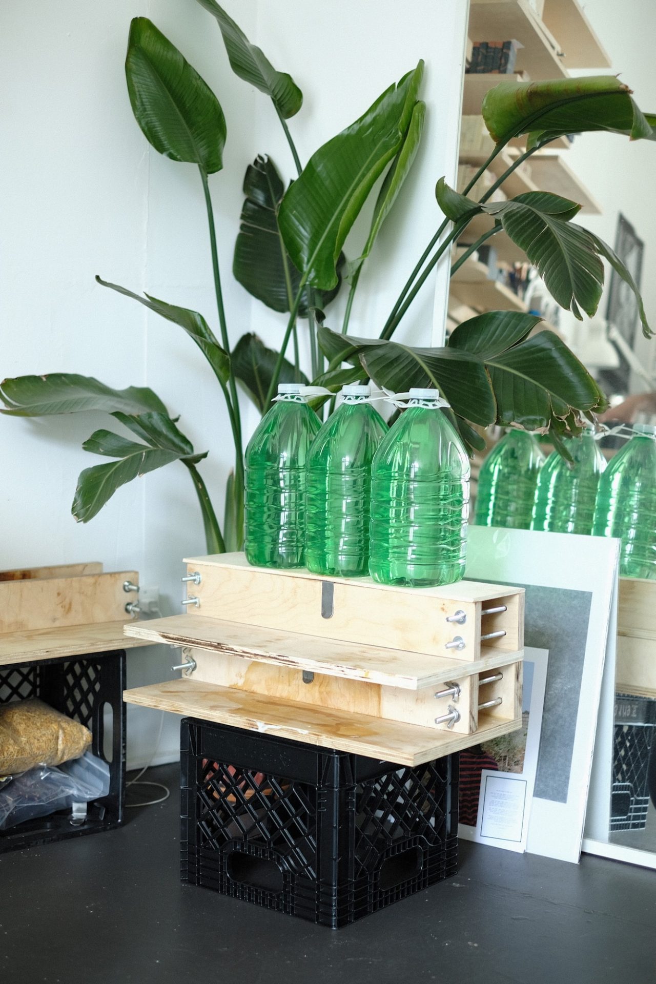 GivennRoom / Sandro Petrillo