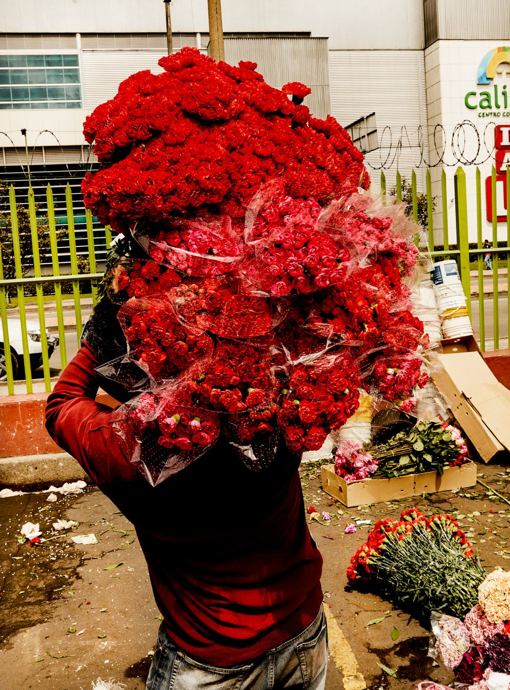 Balance / Luis Mora (English)