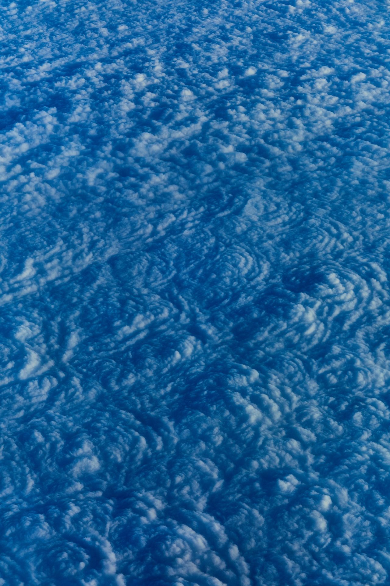 Balance / Luis Mora (English)