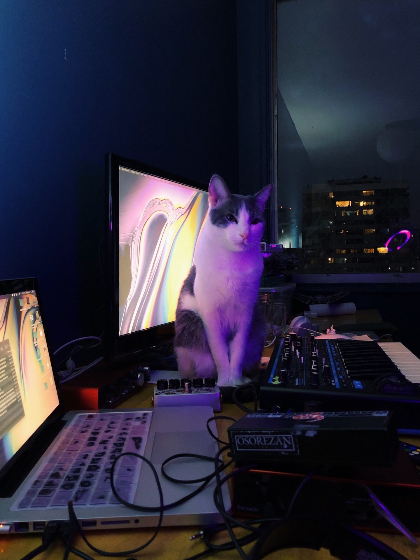 Flujo creativo / Belén Farías